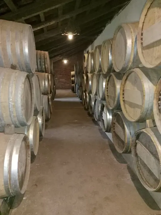 Bodega con barricas en Hacienda Amoltepec